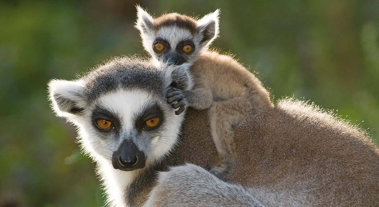 Tierpark Schönbrunn